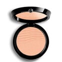 Luminous Silk Glow Fusion Powder  